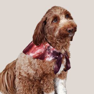 Elden Tie Dye Dog Bandana Hand Dyed Pet Scarf by Akasha Sun